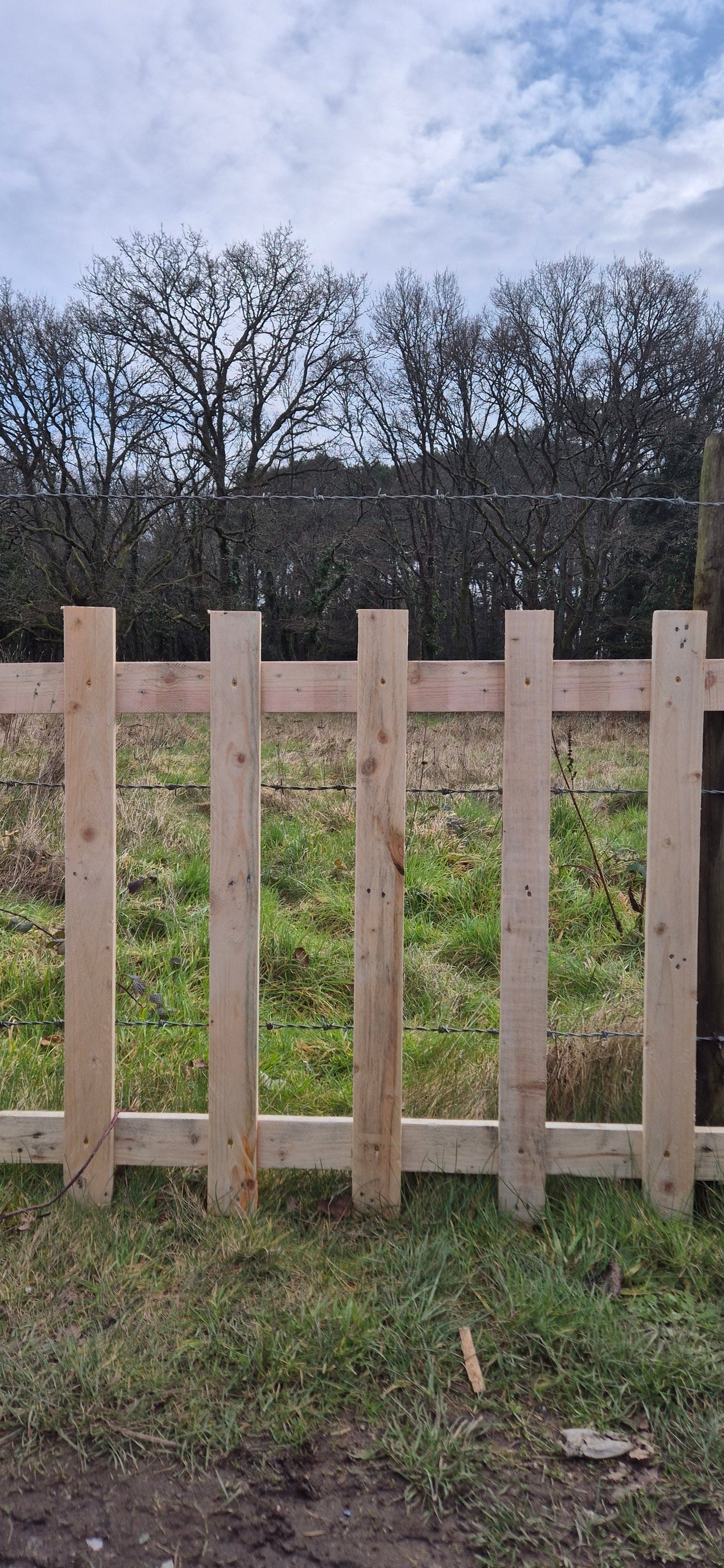 Natural Open Picket Fence Panels