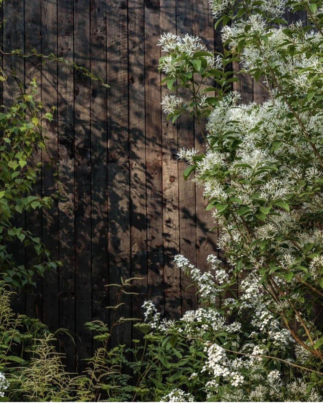 Deep Charred Cladding - 40 Square Meter Pack -  BULK BUY