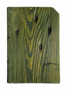 Exterior Reclaimed Wood Cladding - Moss Green