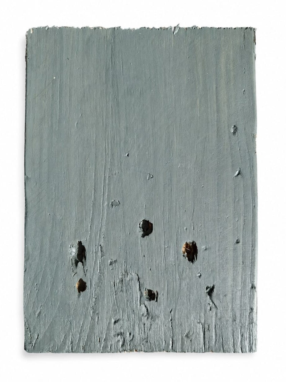 Exterior Reclaimed Wood Cladding - Seaweed