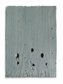 Exterior Reclaimed Wood Cladding - Seaweed