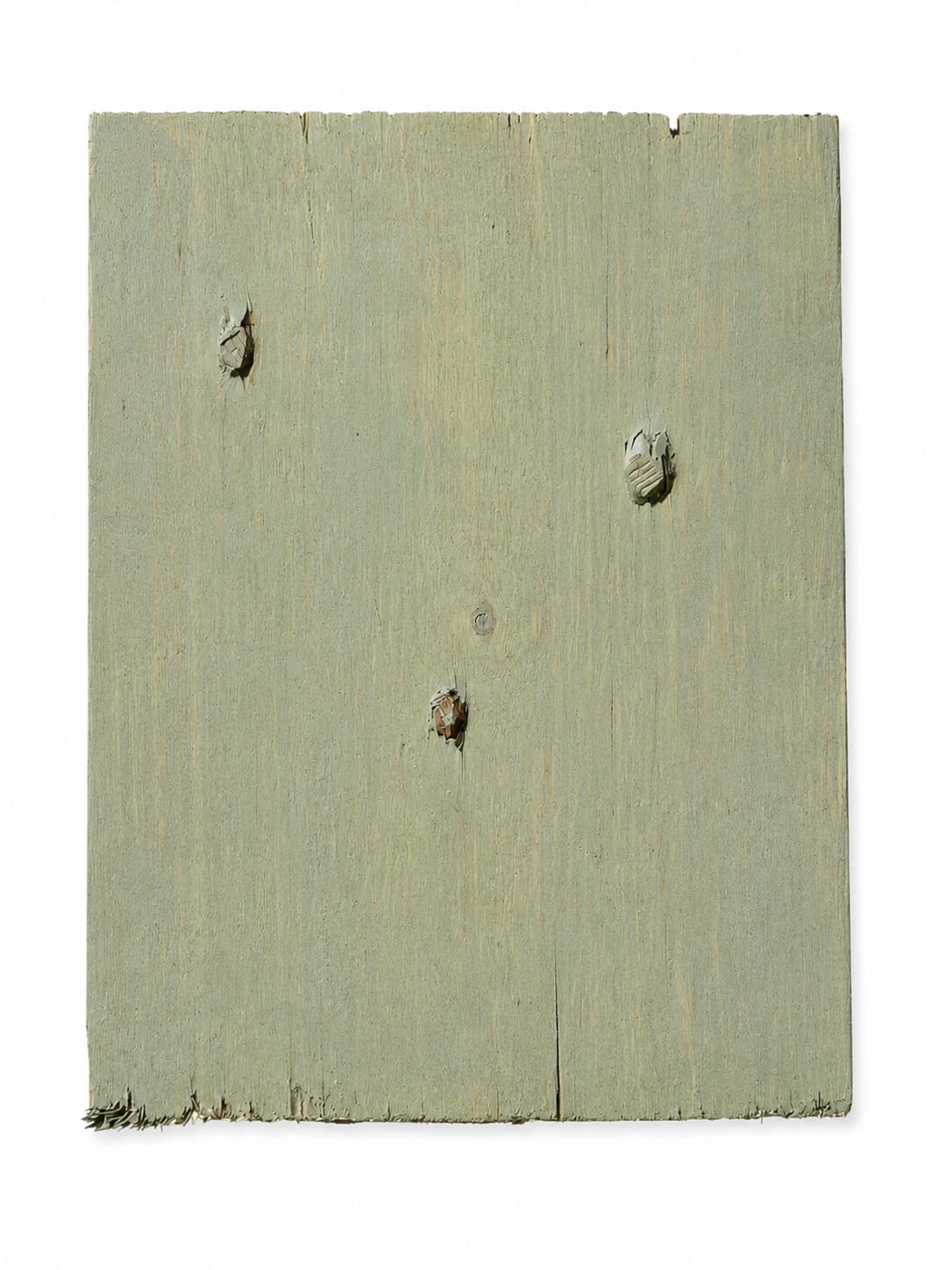 Exterior Reclaimed Wood Cladding - Soft Sage