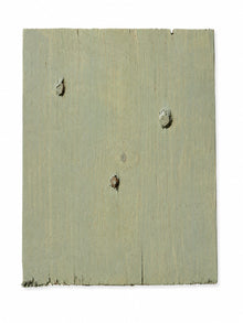 Exterior Reclaimed Wood Cladding - Soft Sage