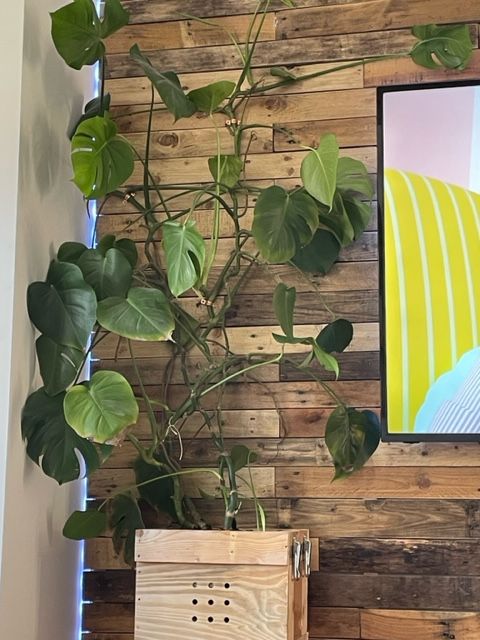 Load image into Gallery viewer, Natural Mixed Tones Rustic Cladding - 35 Square Meter Pack - BULK BUY
