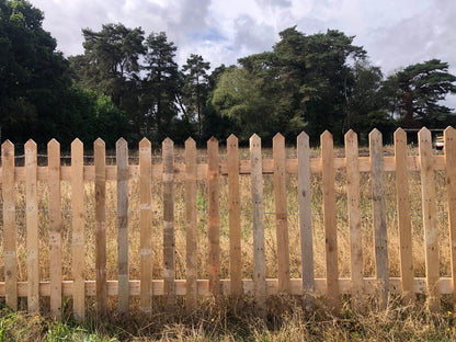 Natural Pointed Top Picket Fence Panel